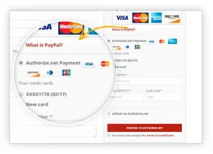 Buy Authorize Payment Processor Accounts