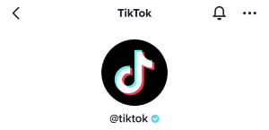 Buy Verified Tiktok Accounts